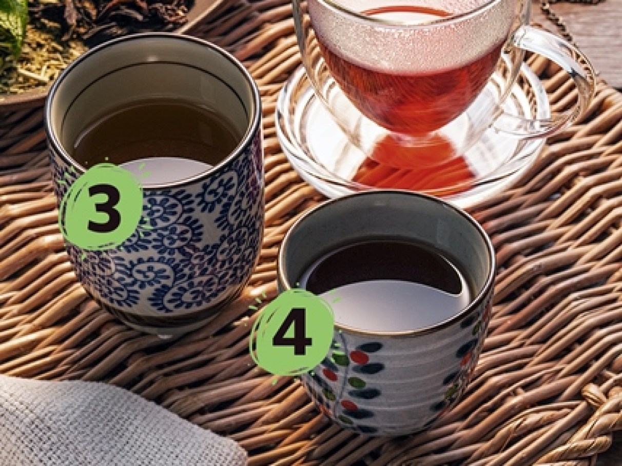 Expectativa de Vida: Potencial Longevidade Natural - inspiração 1