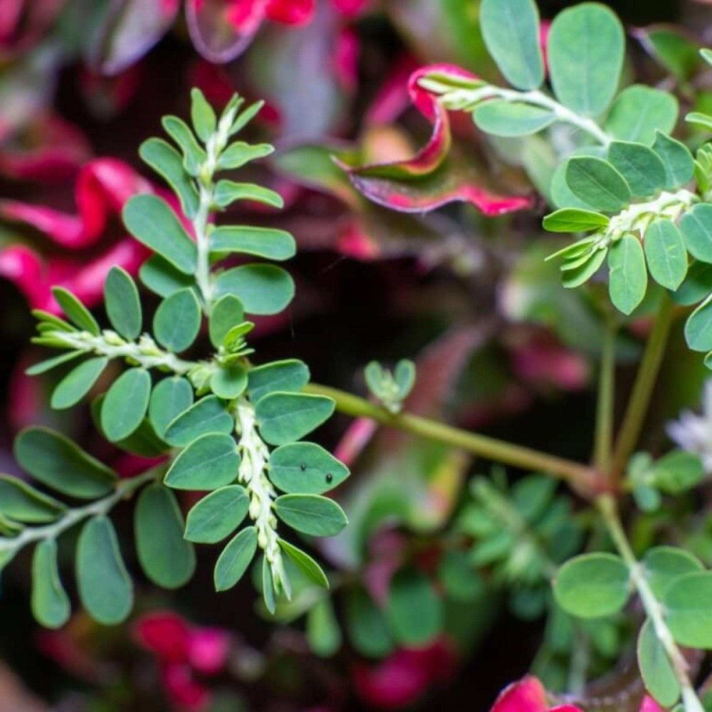 Controle da Pressão Arterial: Um Impulso para o Coração - inspiração 1