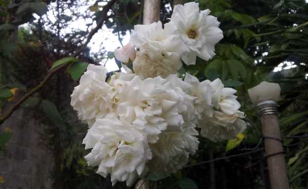 Dormir Melhor: Um Convite ao Descanso Reparador Noturno - inspiração 2