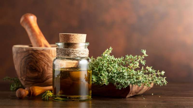 Digestão Feliz: Como o Chá de Tomilho Ajuda Seu Sistema Digestivo - inspiração 1