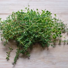 Controle do Açúcar no Sangue: Um Suporte Natural para Sua Saúde Metabólica - inspiração 1