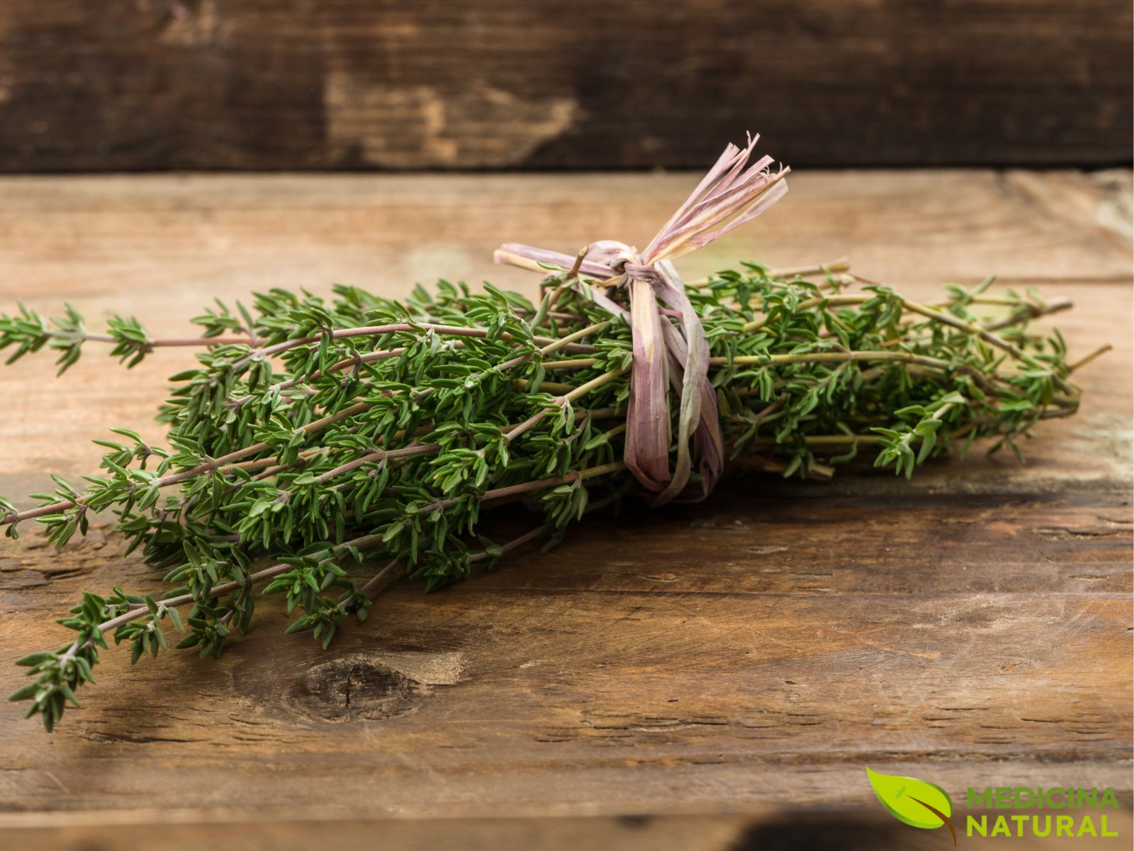 Saúde Bucal em Dia: Propriedades Antimicrobianas do Tomilho para Sua Boca - inspiração 1