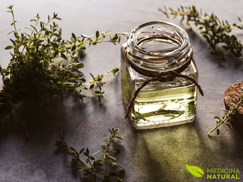 Saúde Bucal em Dia: Propriedades Antimicrobianas do Tomilho para Sua Boca - inspiração 2