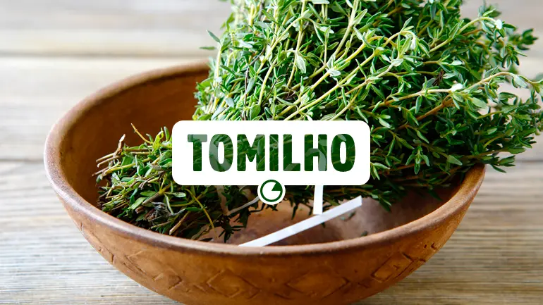 Reduzindo o Estresse: O Efeito Calmante que o Chá de Tomilho Pode Proporcionar - inspiração 1