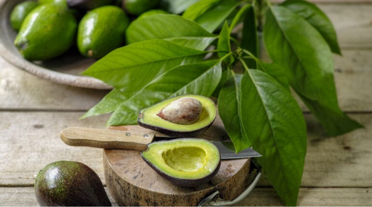 Ação Antioxidante Que Combate o Envelhecimento - inspiração 2