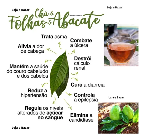 Fortalecimento do Sistema Imunológico - inspiração 1