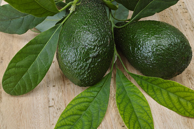 Desintoxicação Natural do Corpo - inspiração 1