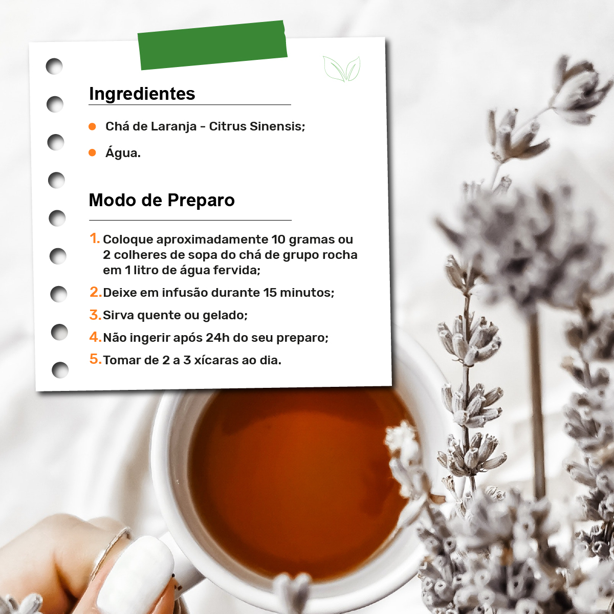 Refrescância e Hidratação com um Toque Cítrico Delicioso - inspiração 2