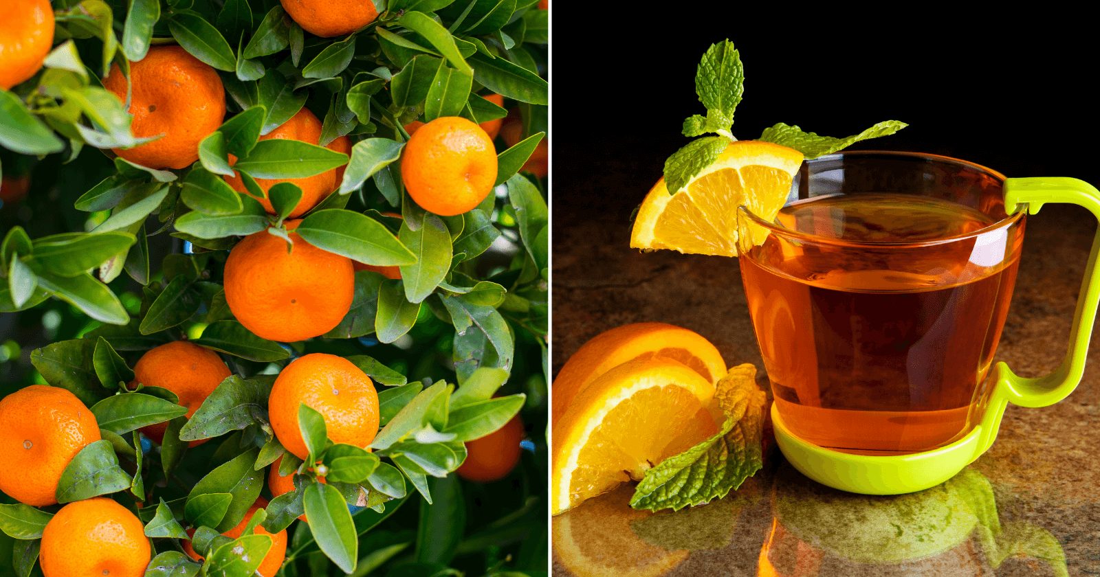 Auxílio na Regulação do Sono: Noites Tranquilas te Esperam - inspiração 1