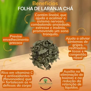 Estímulo ao Sistema Imunológico: Sua Defesa Natural Reforçada - inspiração 1