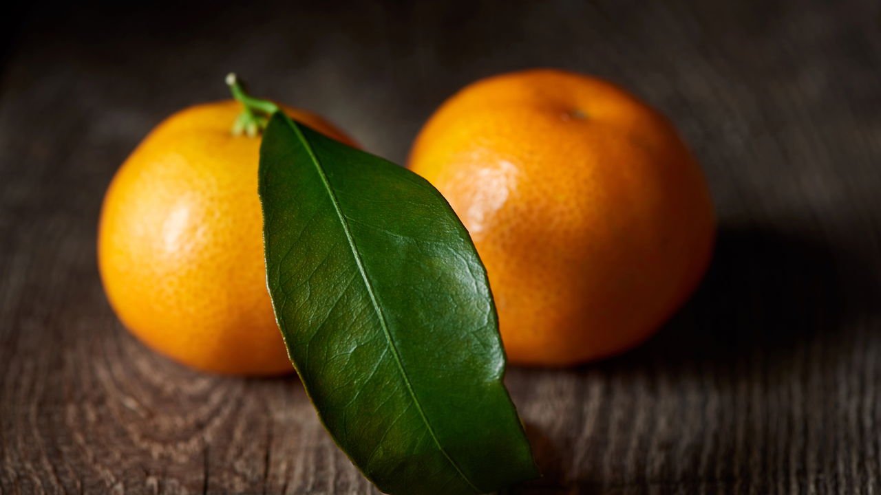 Dicas de Preparo para um Chá Perfeito e Saboroso - inspiração 2