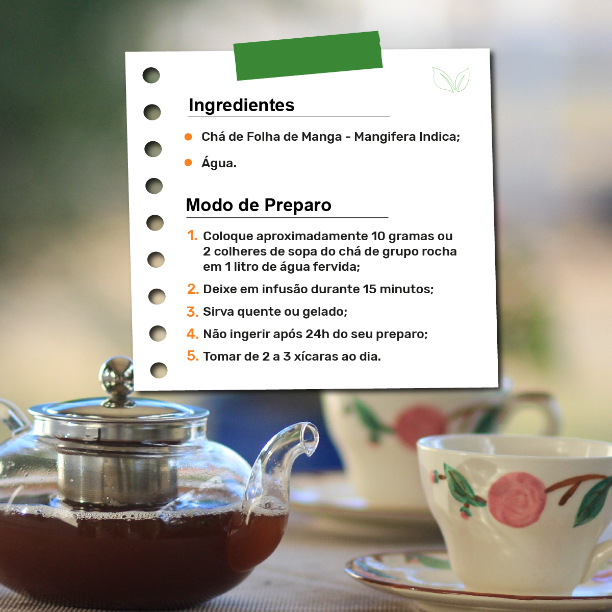 Como a Folha de Manga Auxilia no Controle do Açúcar no Sangue - inspiração 2