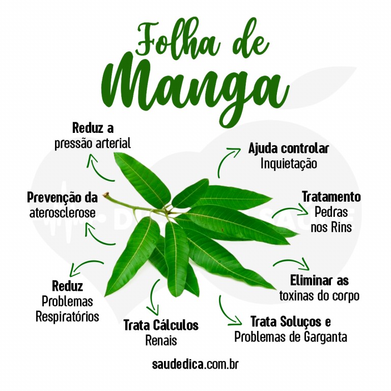 Fortalecendo Seu Sistema Imunológico com Folha de Manga - inspiração 1