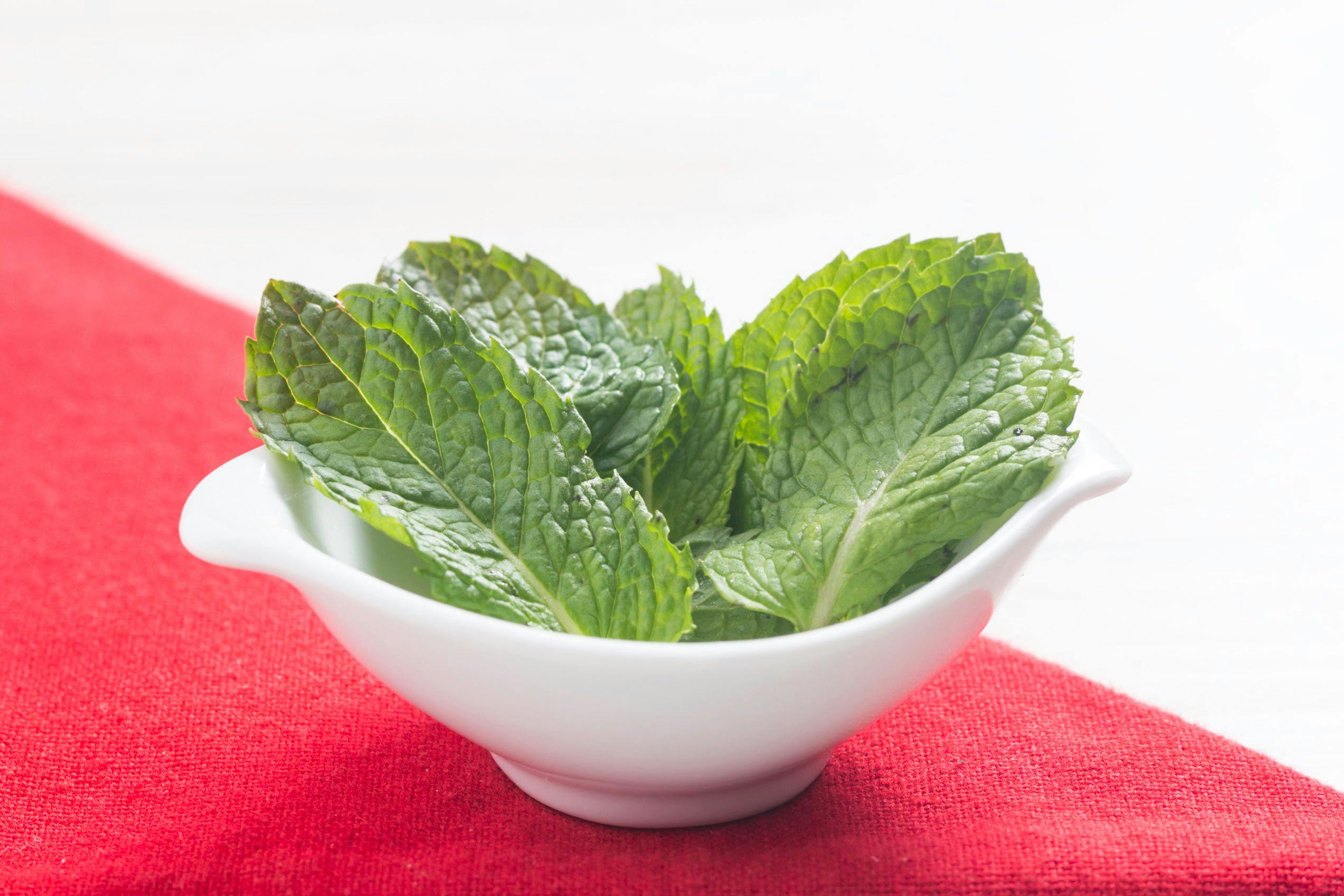 Menos Dores de Cabeça: Uma Solução Natural e Refrescante - inspiração 2