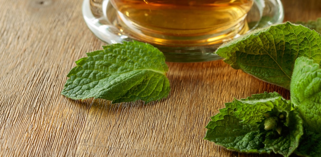 Benefícios para a Pele: Um Toque de Frescor e Vitalidade - inspiração 1