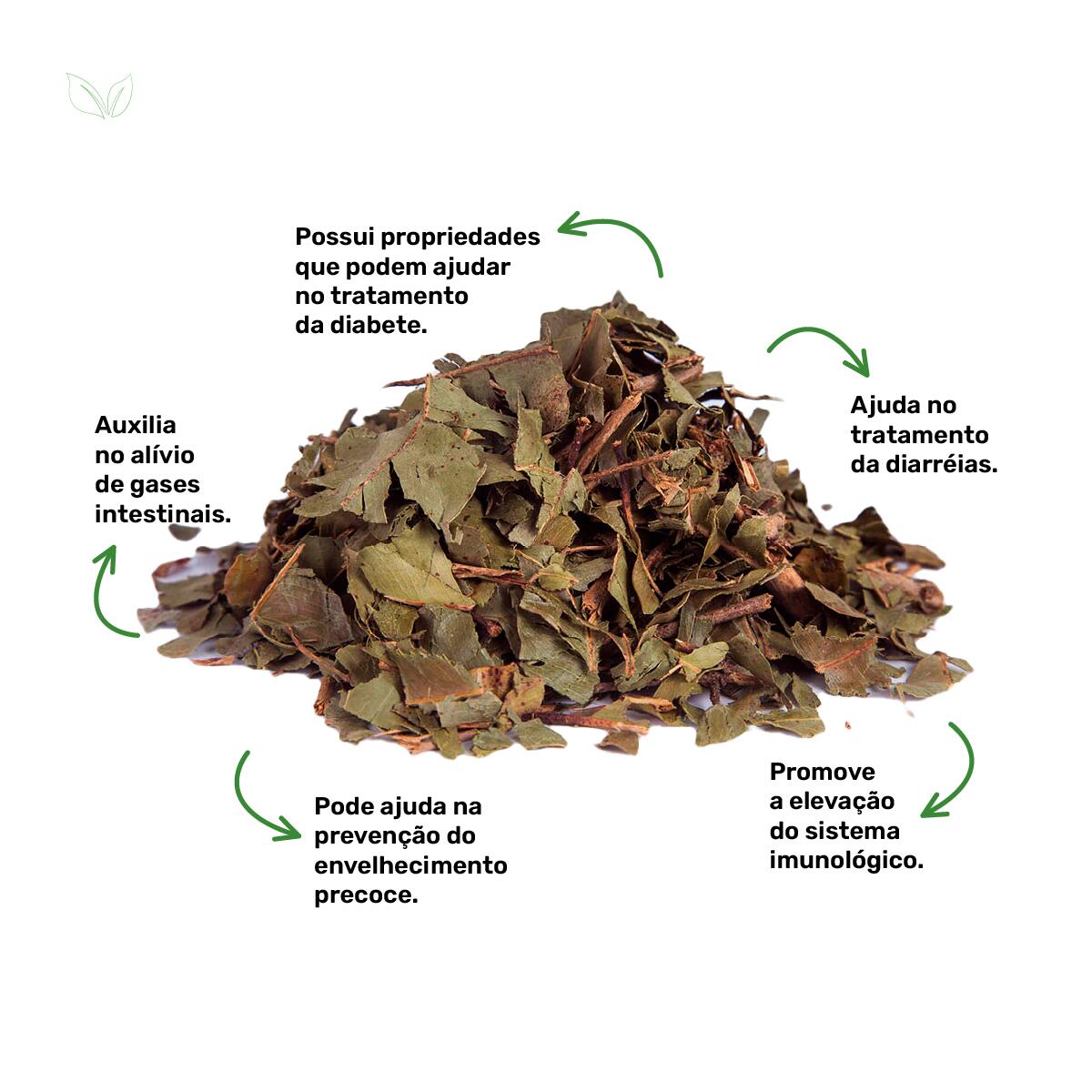 Controle da Glicose: Como o Jambolão Ajuda a Manter a Diabetes Sob Controle - inspiração 2