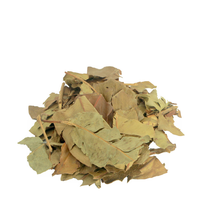 Estabilização da Pressão Arterial: Controle Natural para sua Saúde Cardiovascular - inspiração 1