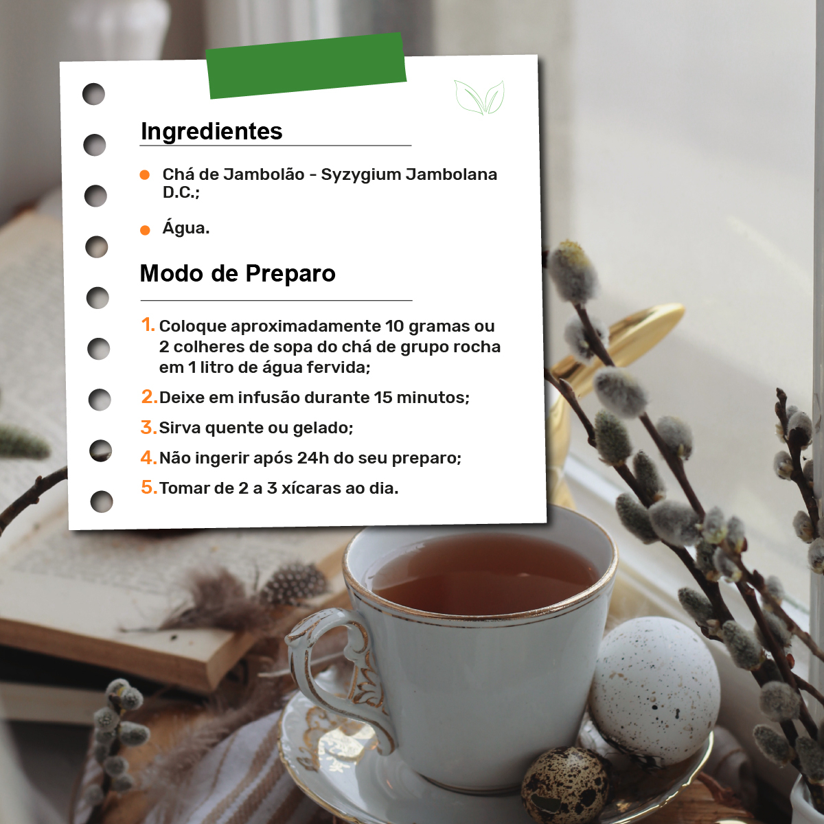 Saúde Digestiva: O Papel do Jambolão na Regulação do Seu Intestino - inspiração 1