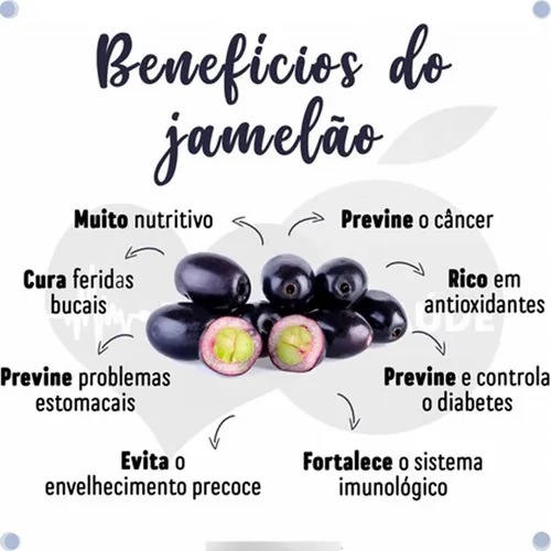 Saúde Digestiva: O Papel do Jambolão na Regulação do Seu Intestino - inspiração 2
