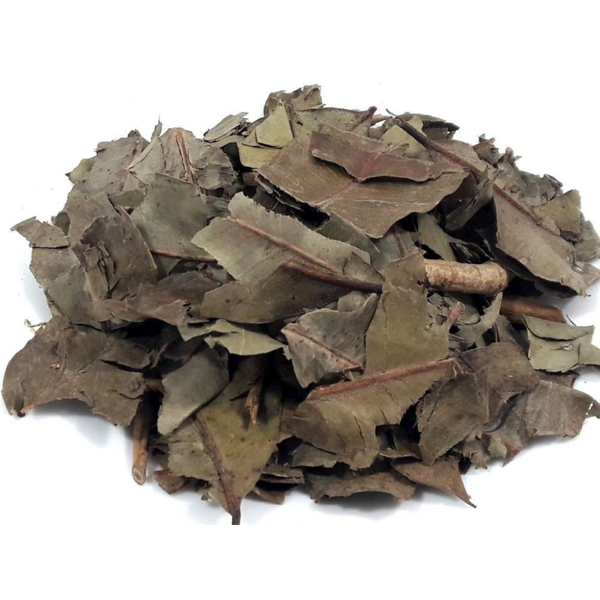 Benefícios para a Pele: Um Aliado Natural para uma Pele Mais Saudável - inspiração 1