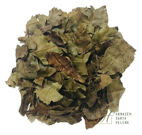 Benefícios para a Pele: Um Aliado Natural para uma Pele Mais Saudável - inspiração 2