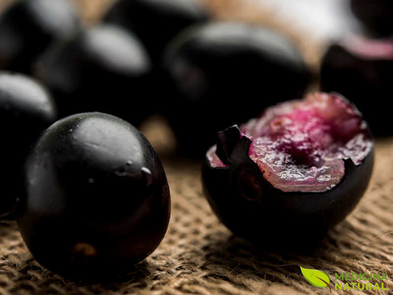 Melhora da Circulação Sanguínea: Um Coração Mais Saudável com Jambolão - inspiração 2