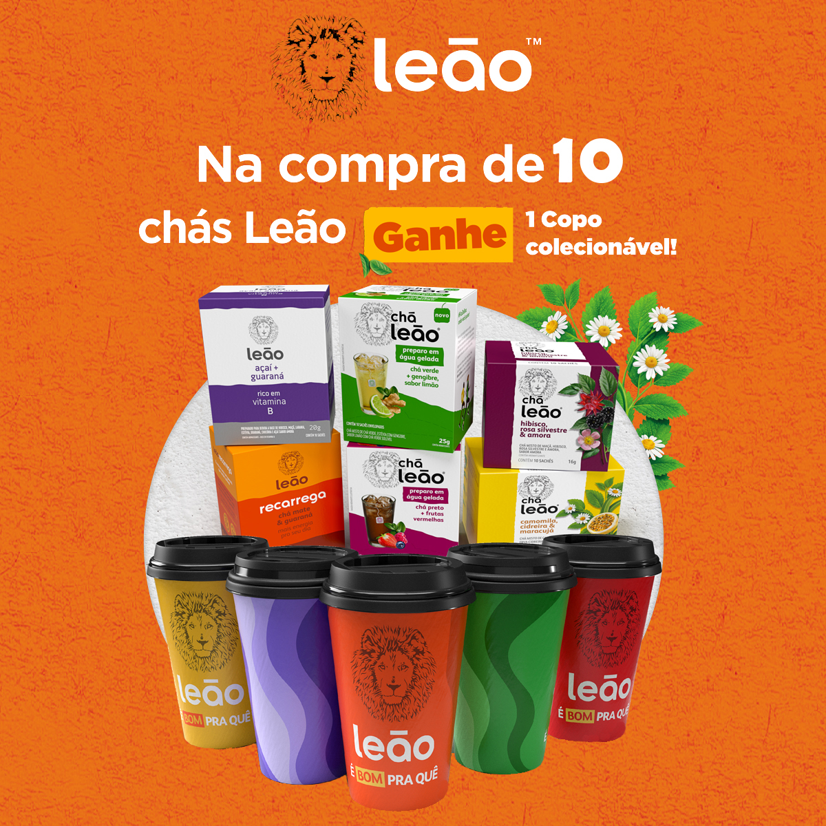 Fortalecendo o Sistema Imunológico - inspiração 1