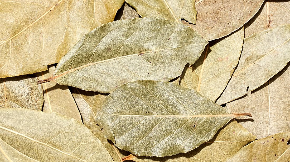 Propriedades Antioxidantes: Proteção Diária Que Importa - inspiração 2