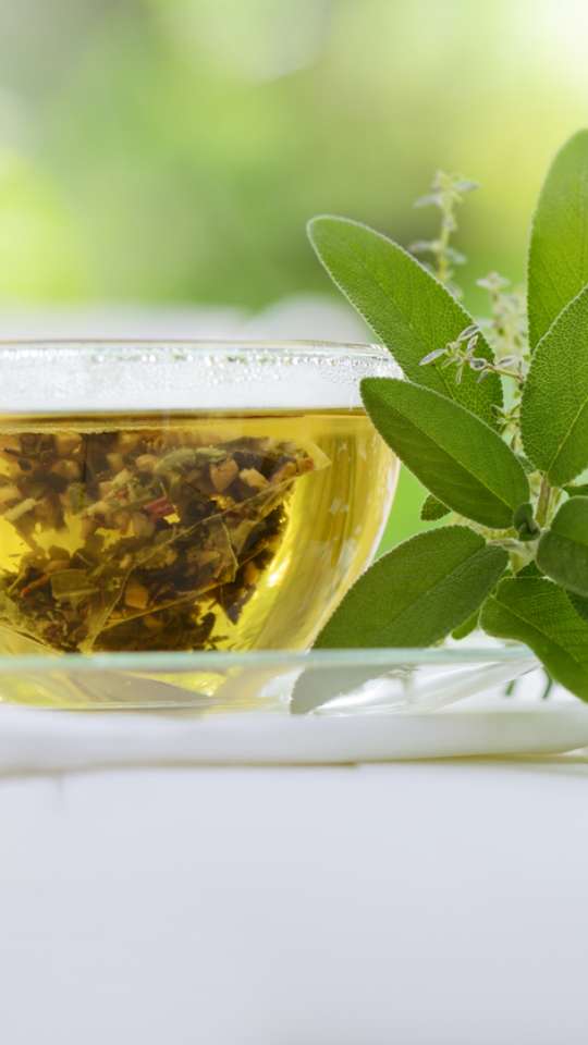 Melhora da Circulação: Vitalidade Nas Suas Veias - inspiração 2