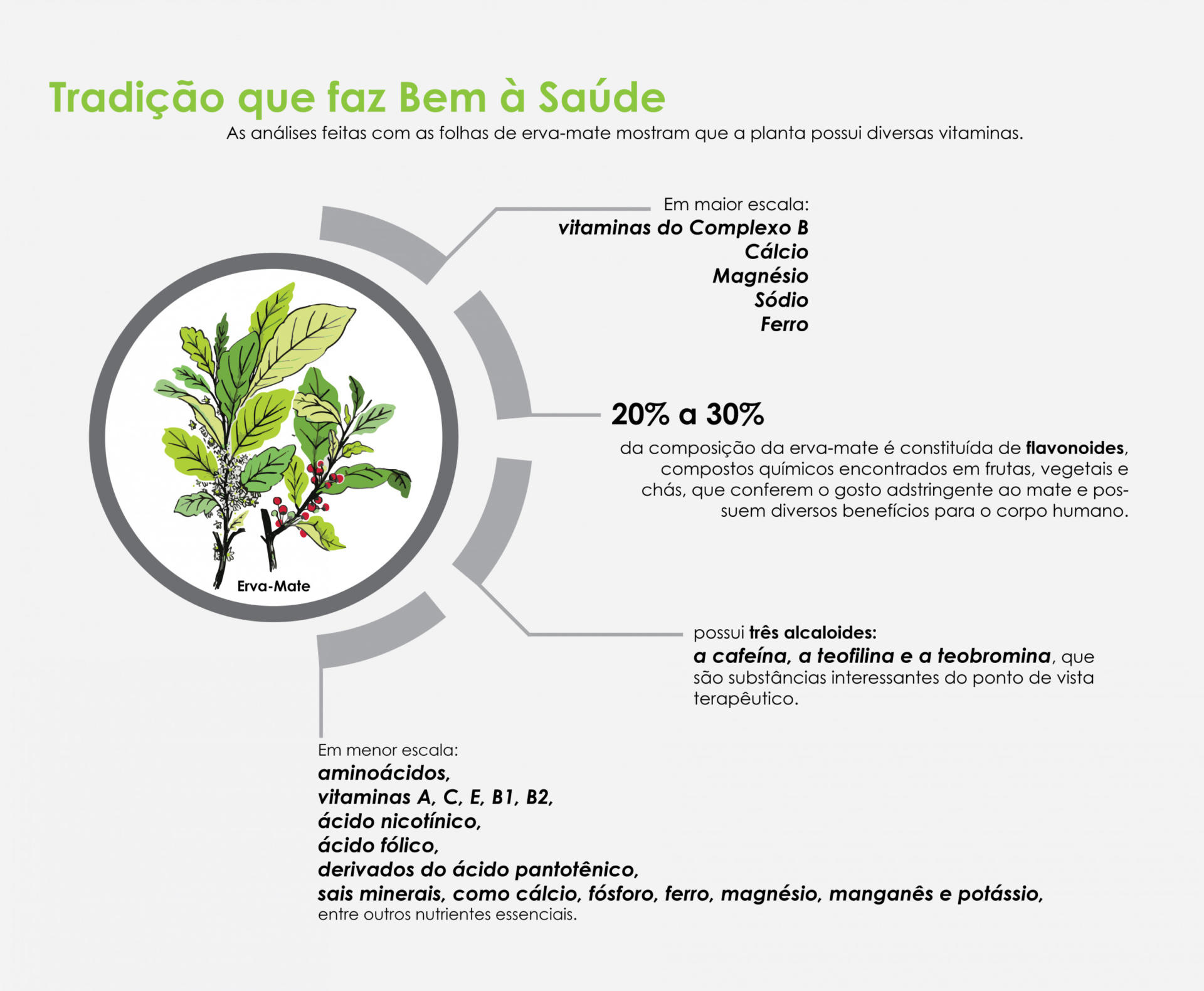 Hidratação Saudável Com Sabor e Bem-Estar - inspiração 2