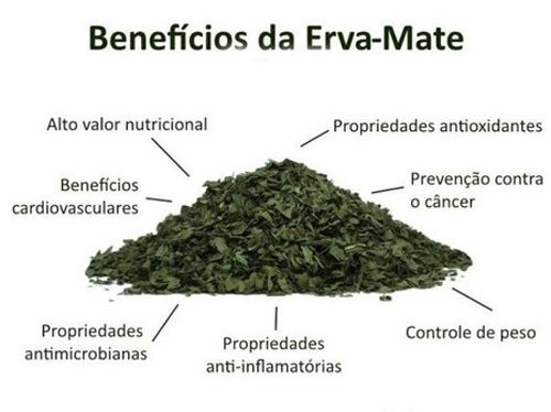 Energia Natural Sem Agitação: Um Impulso Para o Seu Dia - inspiração 2