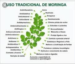 Fortaleça Sua Imunidade Naturalmente - inspiração 1