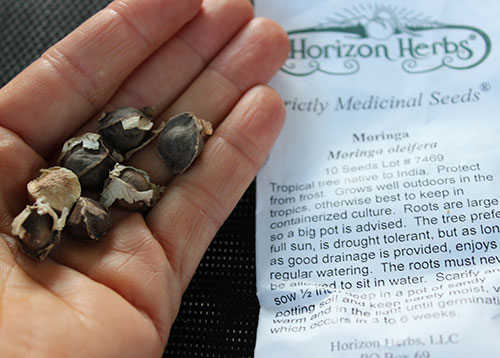 Controle do Açúcar no Sangue: Um Apoio Delicado para Seus Níveis - inspiração 2