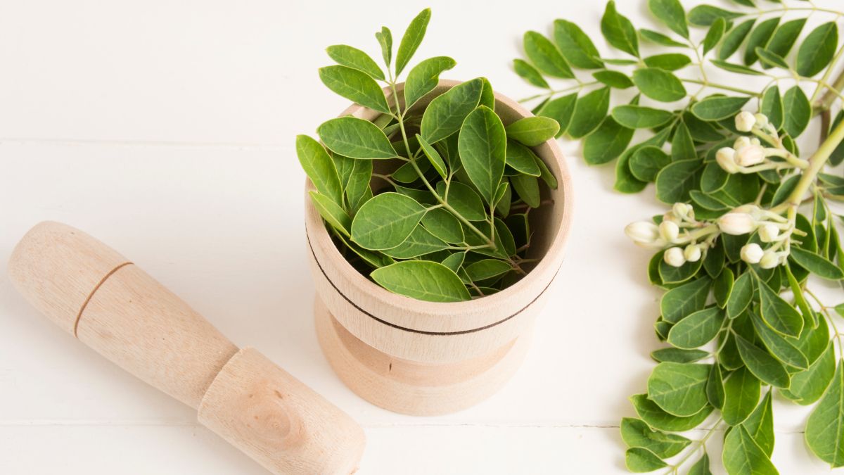 Ação Antioxidante: Proteção Essencial Contra os Danos Celulares - inspiração 2