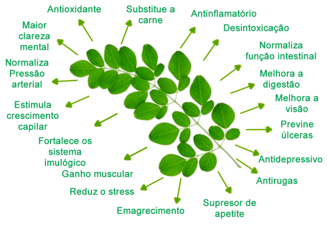 Manejo do Peso: Um Aliado Delicado na Sua Rotina - inspiração 2