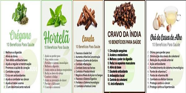 Digestão Leve e Feliz: Alívio Natural para o Seu Estômago - inspiração 1