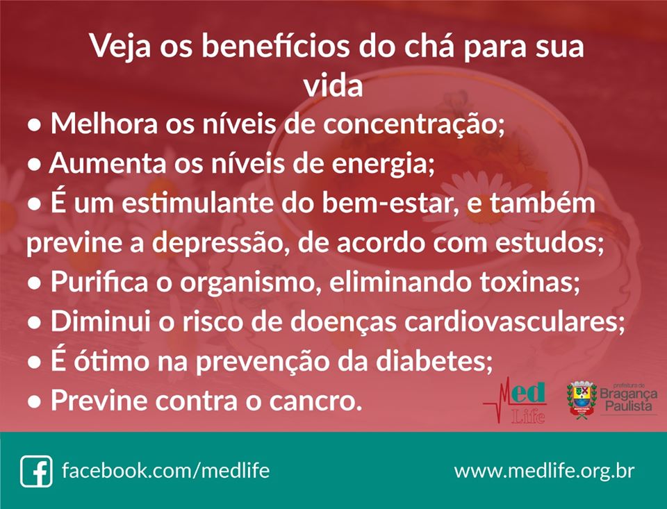 Digestão Leve e Feliz: Alívio Natural para o Seu Estômago - inspiração 2