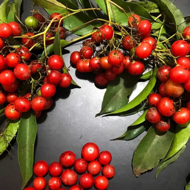 Estímulo ao Metabolismo - inspiração 2