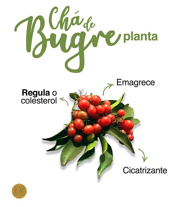 Contribuição para a Energia e Disposição - inspiração 1