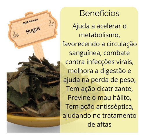 Equilíbrio Glicêmico - inspiração 1