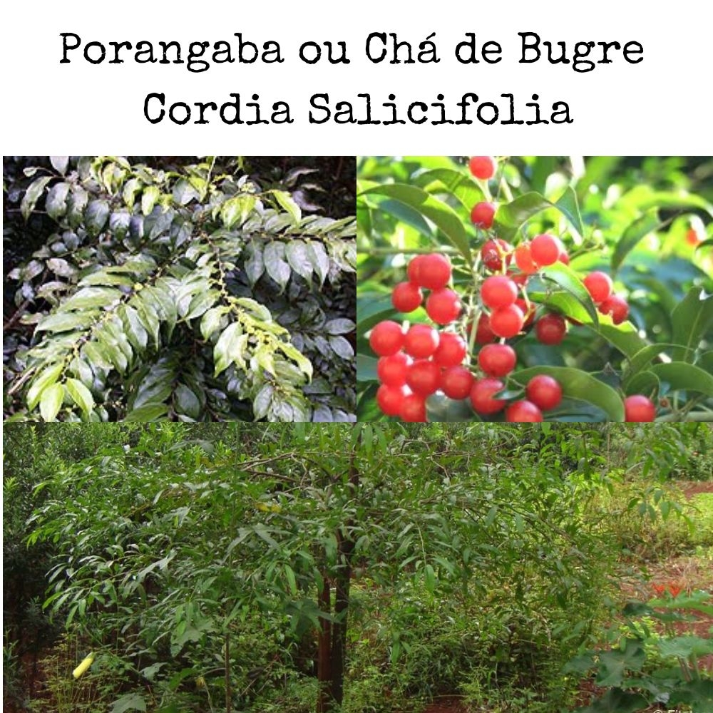 Pele Mais Saudável - inspiração 2