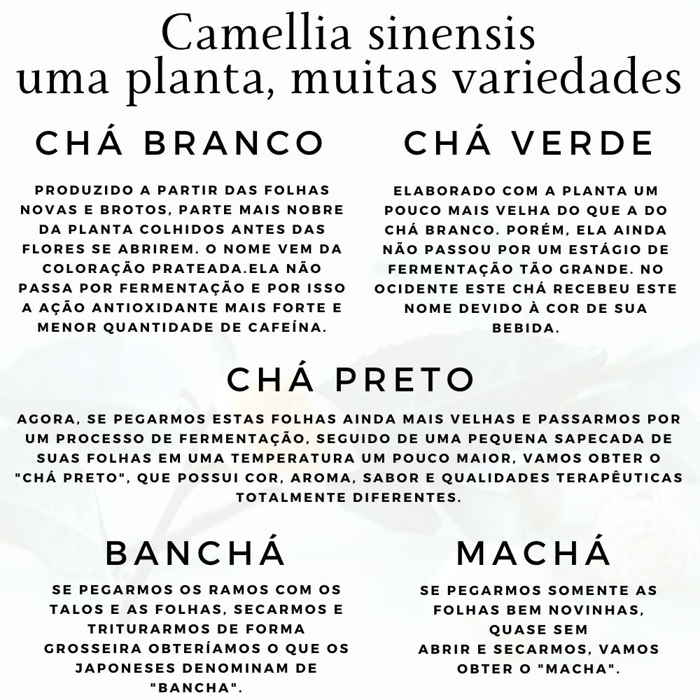 Foco e Clareza Mental para Produtividade Máxima - inspiração 2