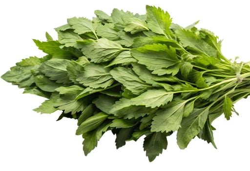 Ação diurética leve: ajudando na retenção de líquidos - inspiração 1