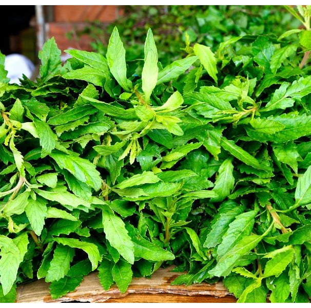 Bem-estar mental e relaxamento: um momento de pausa para você - inspiração 2