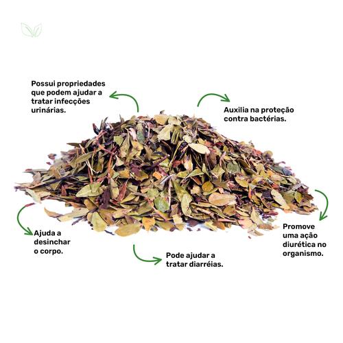 Alívio para a Cistite: Menos Desconforto, Mais Bem-Estar - inspiração 2