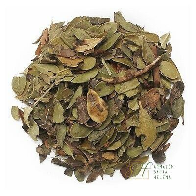 Propriedades Diuréticas: Ajuda na Eliminação de Toxinas - inspiração 1