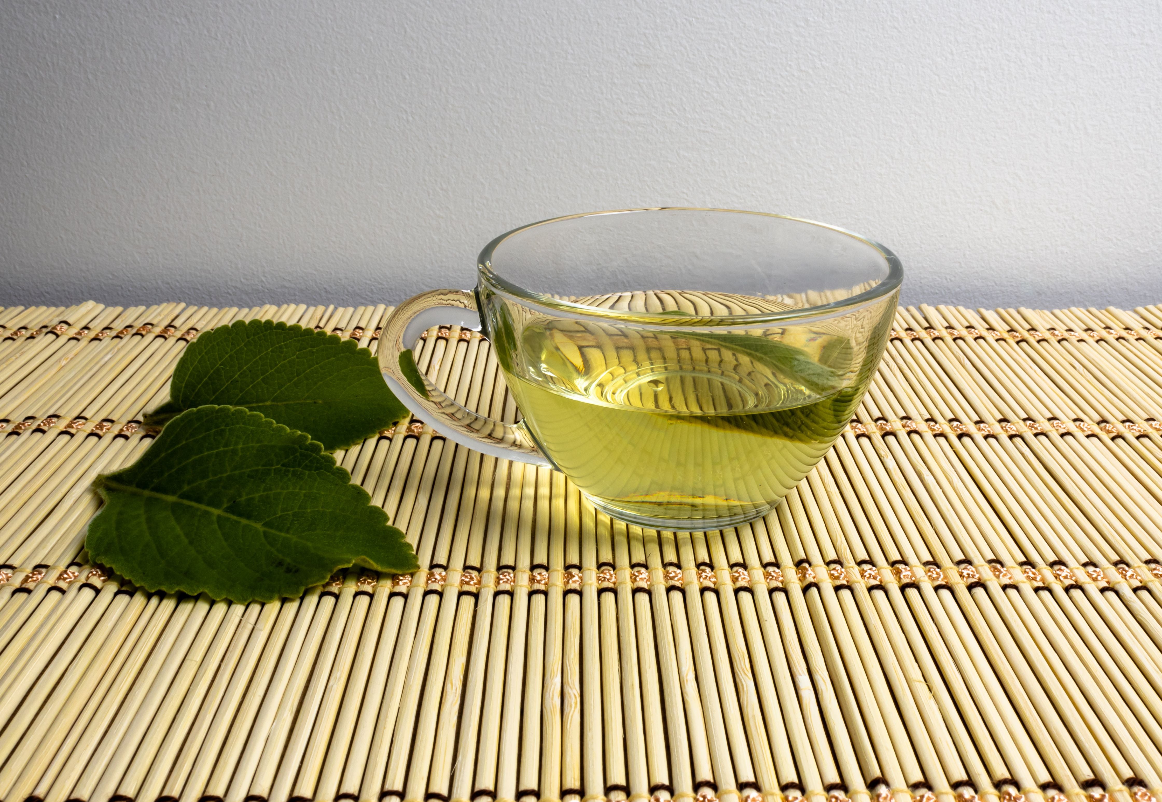 Diferenças entre Boldo Brasileiro e Boldo Chileno: Qual Usar? - inspiração 1