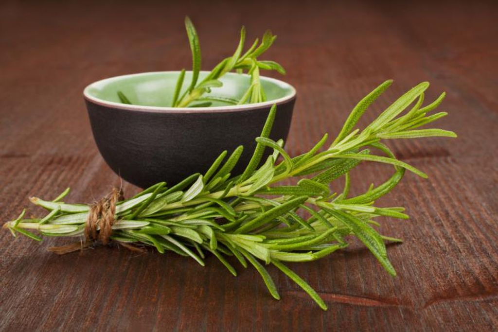 Alívio das Dores: O Alecrim Como Aliado Contra Inflamações e Dores - inspiração 1