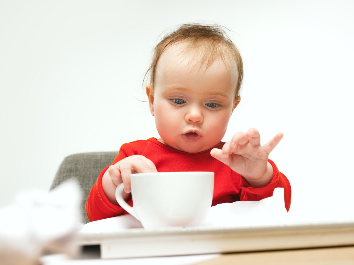 Alfazema: Relaxamento para a Mamãe, Tranquilidade para o Bebê - inspiração 1