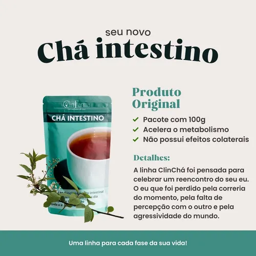 Canela: A Doçura que Acelera - inspiração 2